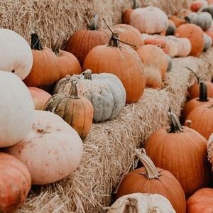 Meet your Posher, Jayden